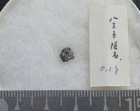 八王子隕石　画像（国立科学博物館所蔵）