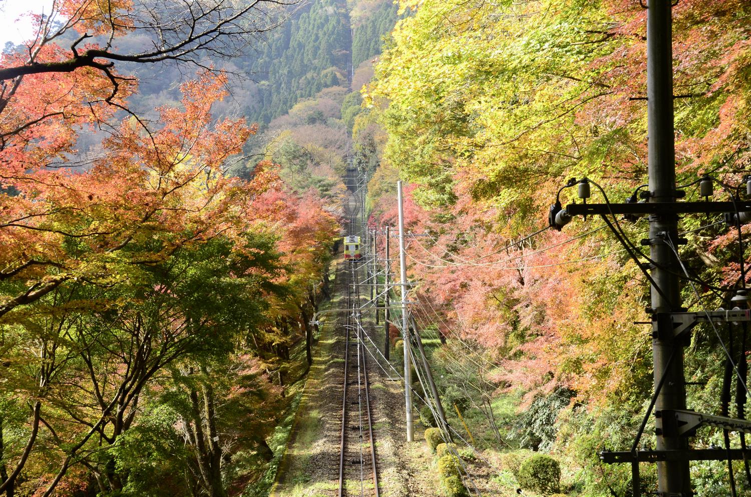 高尾山ケーブルカー付近の風景の写真