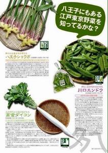 江戸東京野菜ちらし