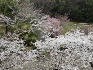 南大沢みどりやま公園