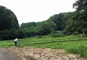 田園風景