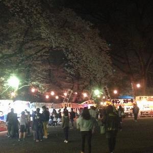 富士森公園（台町）夜桜