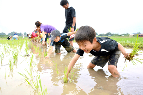 八王子の子育て・教育_スライド画像