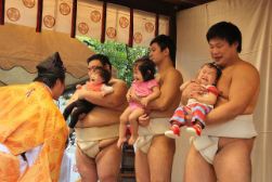 9月 子安神社泣き相撲