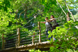 4月 高尾山若葉まつり