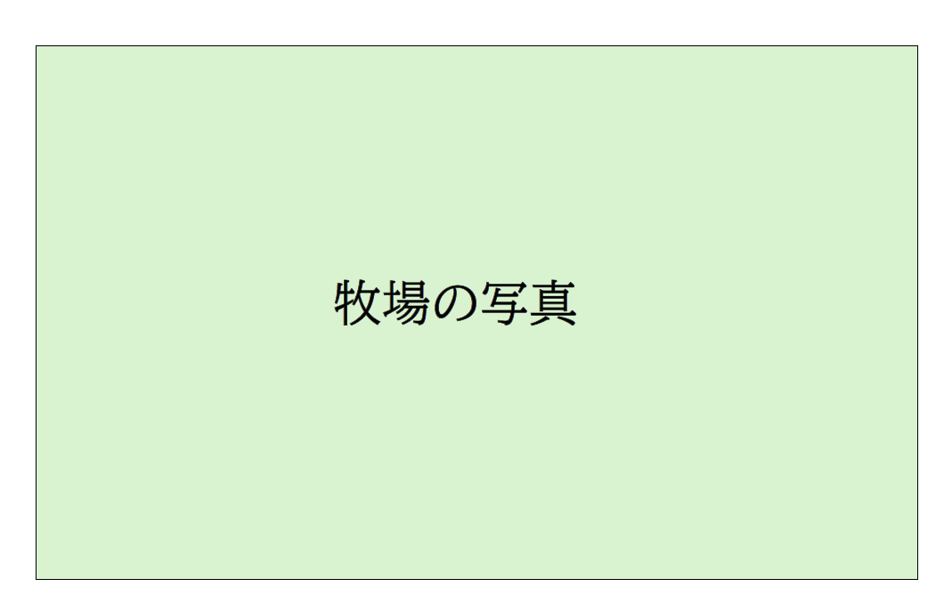 インタビュー写真1