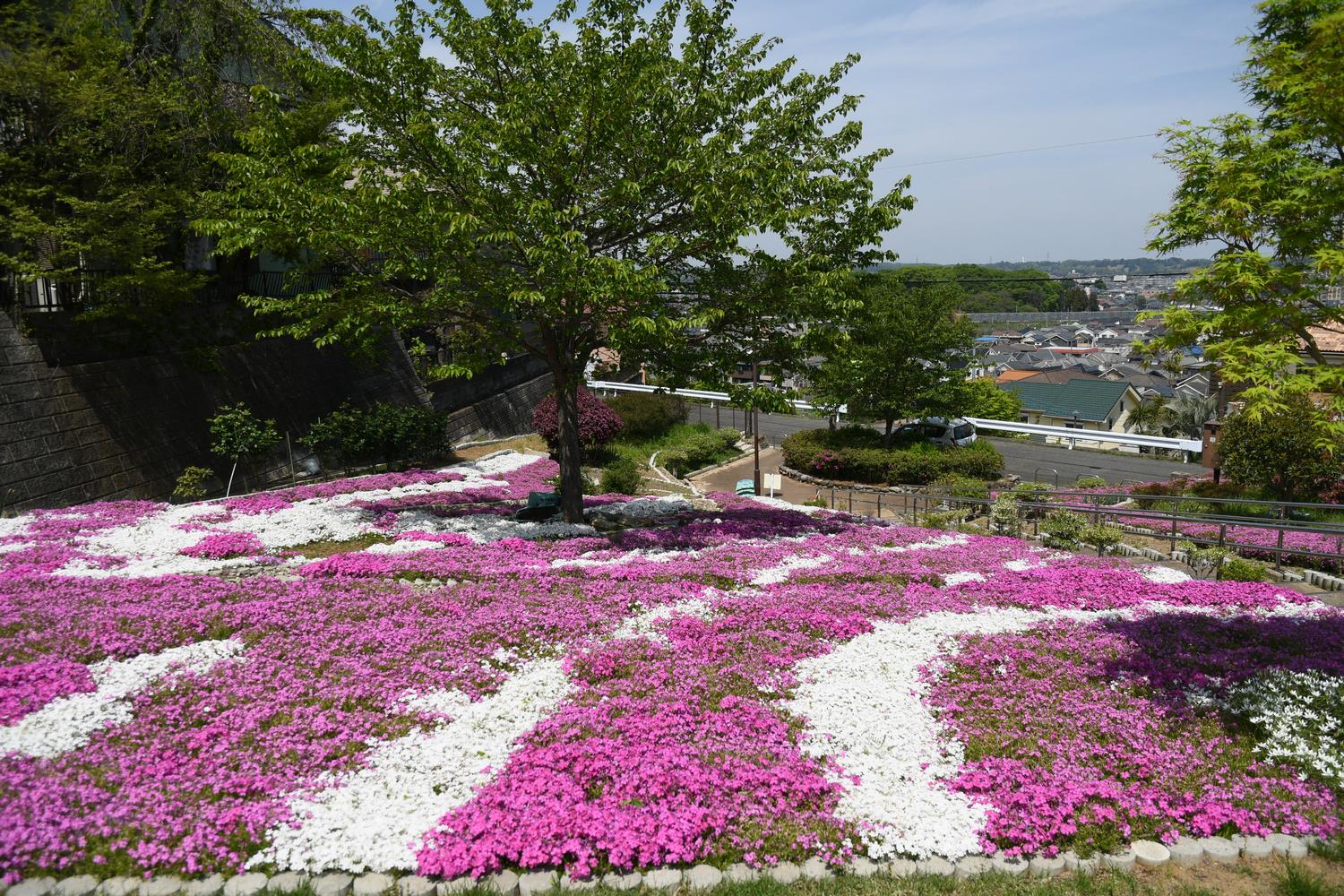 つつじヶ丘緑地