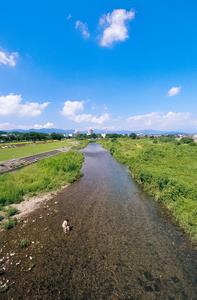 浅川