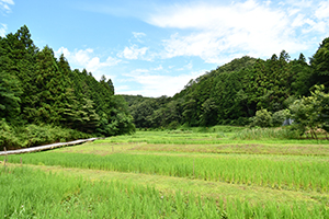 緑豊かな上川の里