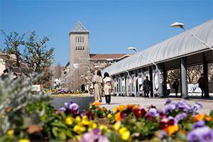 南大沢遊歩道と東京都立大学