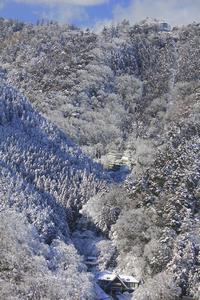 冬の高尾山