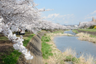 自然の写真