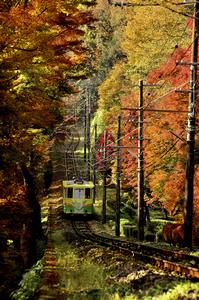 秋の高尾山