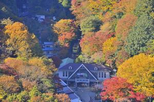 高尾山の紅葉