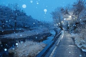 雪に暮れゆく廿里町