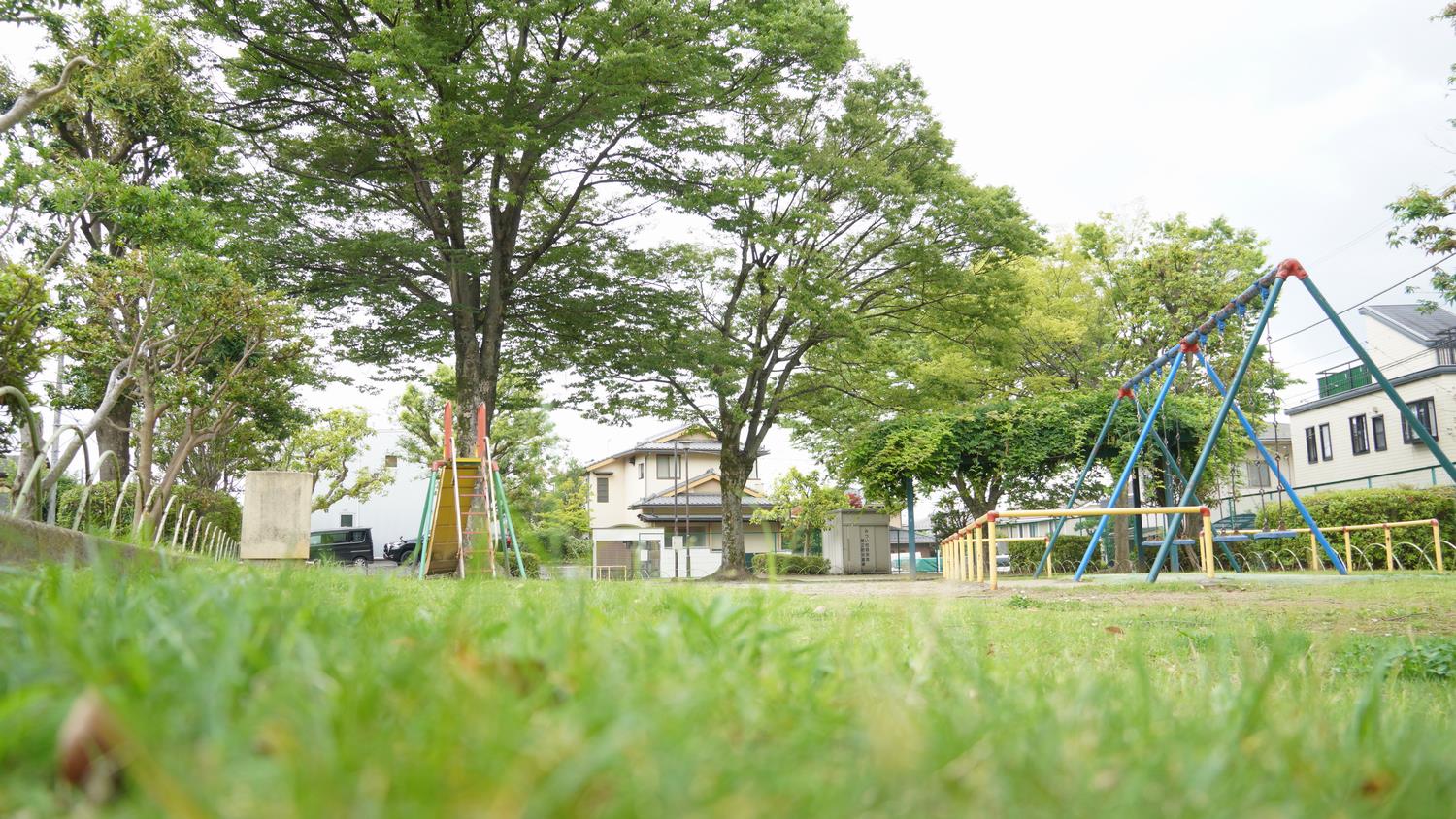 写真4