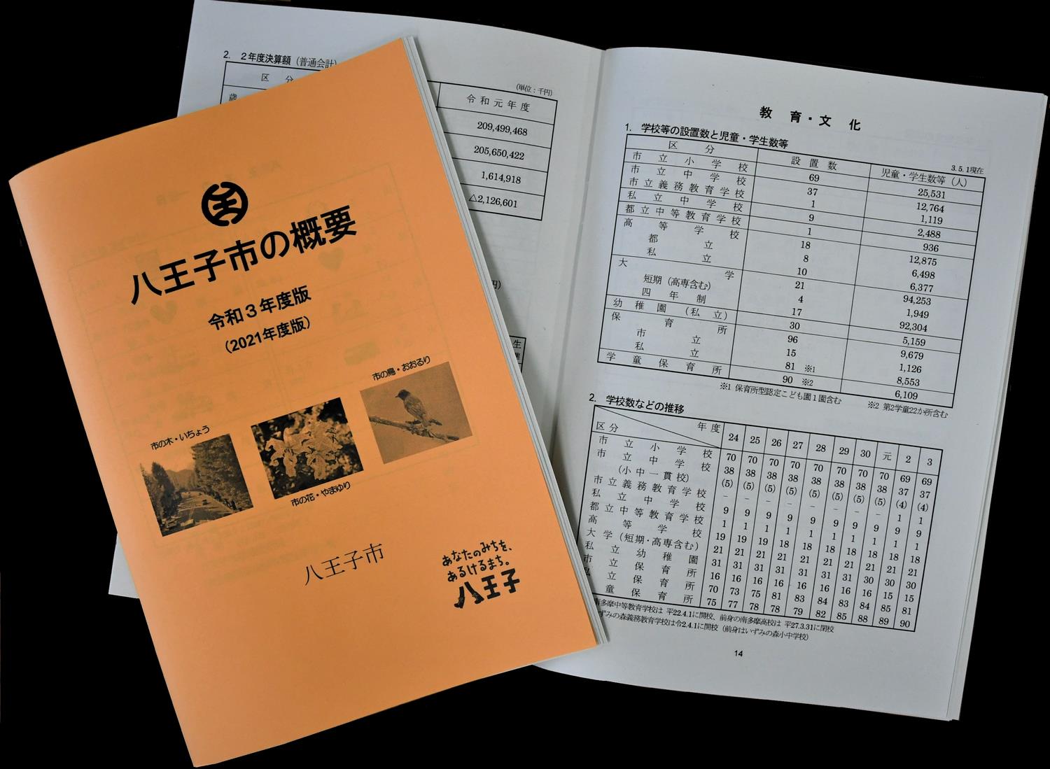 八王子市の概要R2