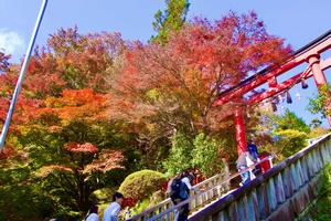 紅葉の髙尾山3