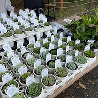 nichijoodano202309_2