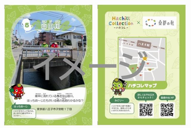 ハチコレイメージ図