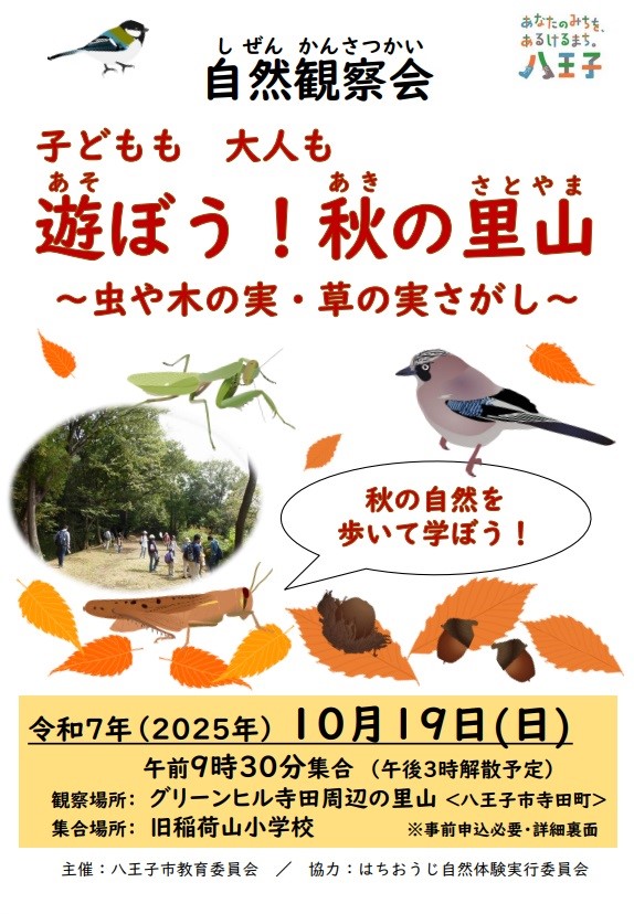 自然観察会　チラシ画像