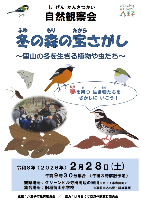 自然観察会　チラシ画像