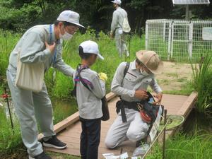 昆虫観察会の様子
