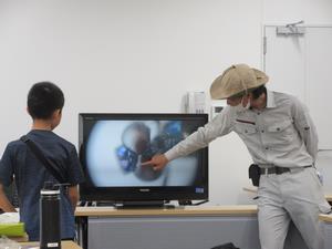 昆虫観察会の様子
