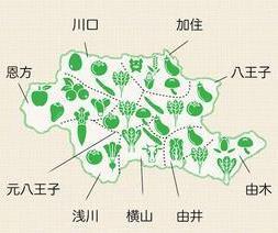 野菜マップ