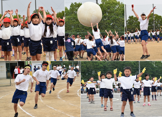 みなみ野 小学校