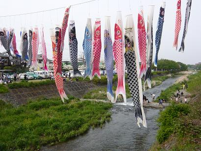 南浅川を泳ぐ鯉のぼり