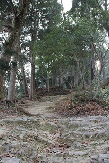 今熊山