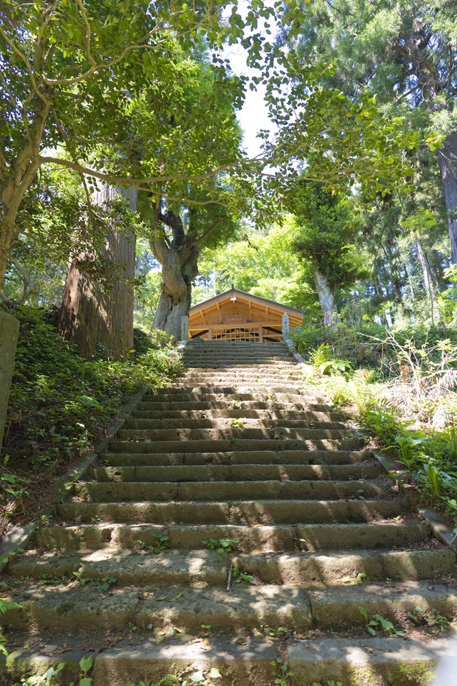 hachiojijinja01