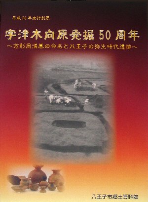 宇津木向原発掘50周年 表紙画像