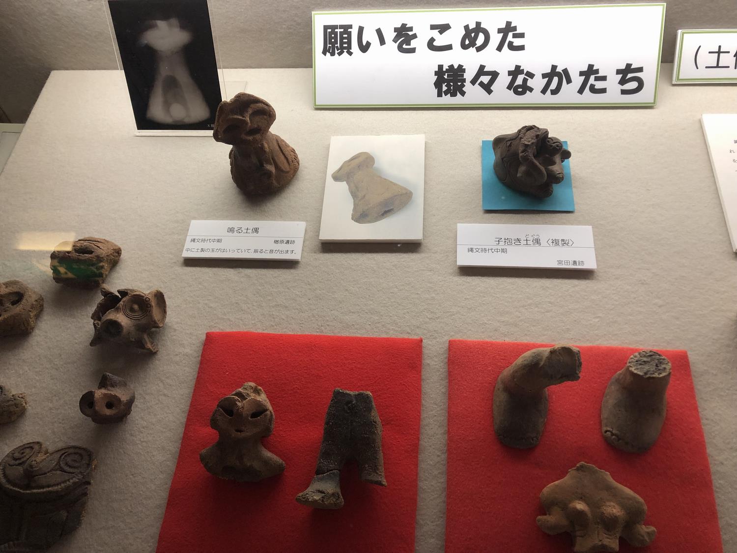 市内の遺跡から発掘された出土品