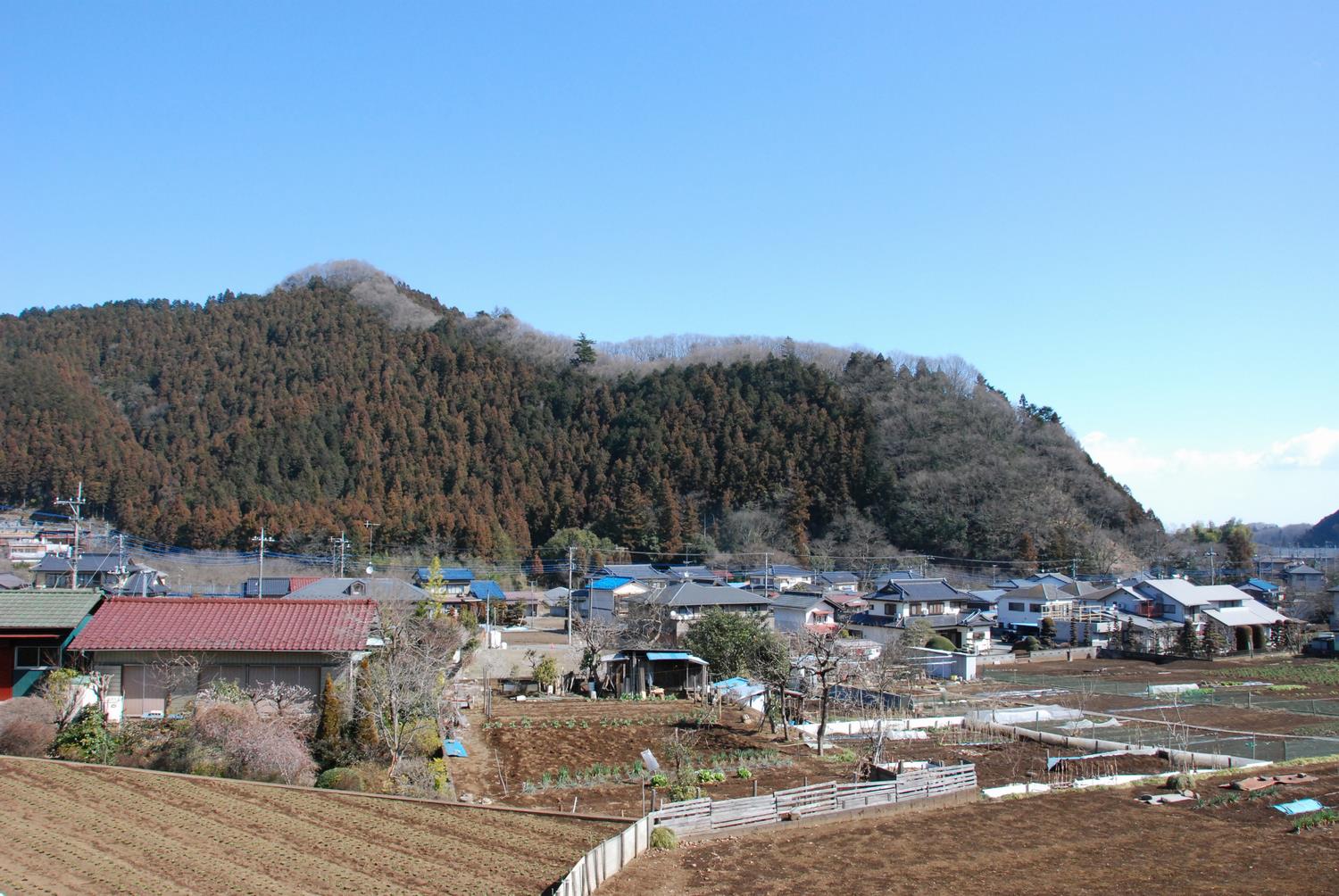 浄福寺城跡（新城跡）