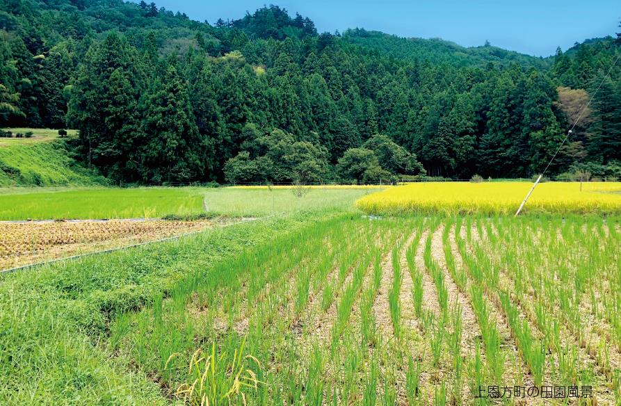 上恩方町の田園風景