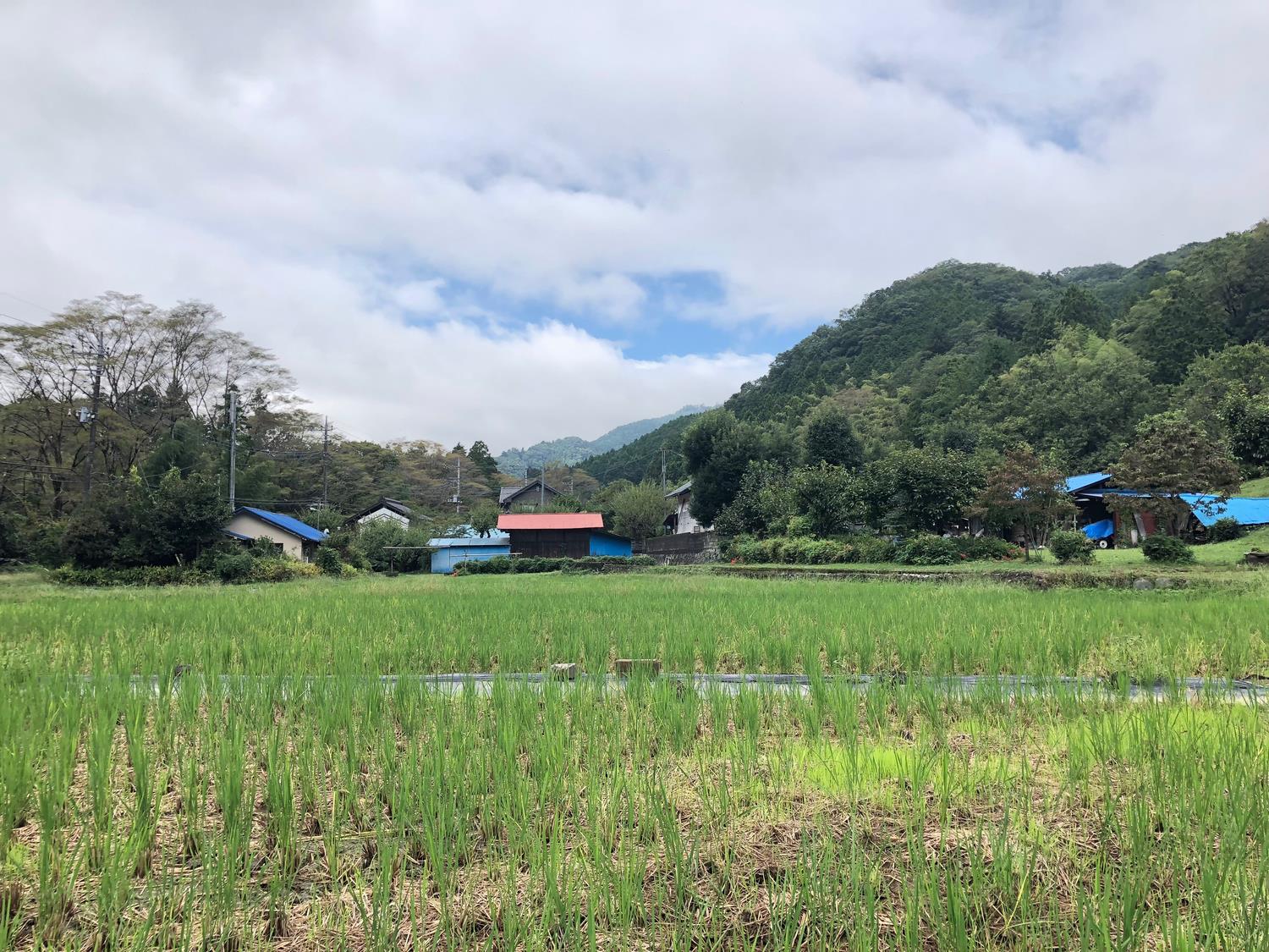 上恩方の田園風景