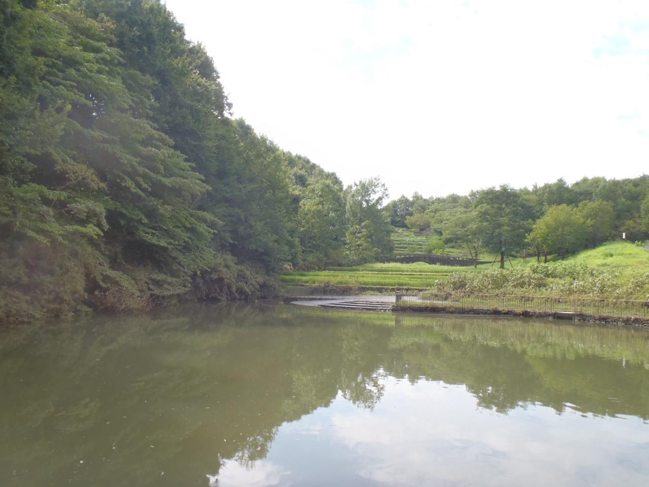 栃谷戸公園