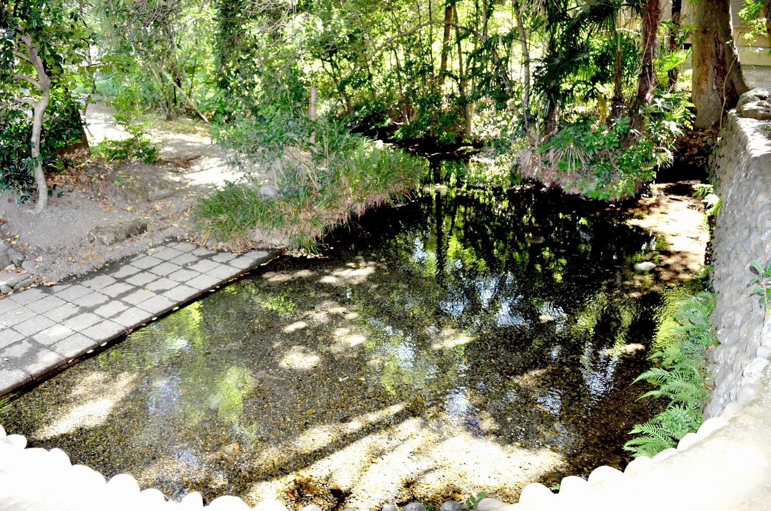 子安神社の湧水