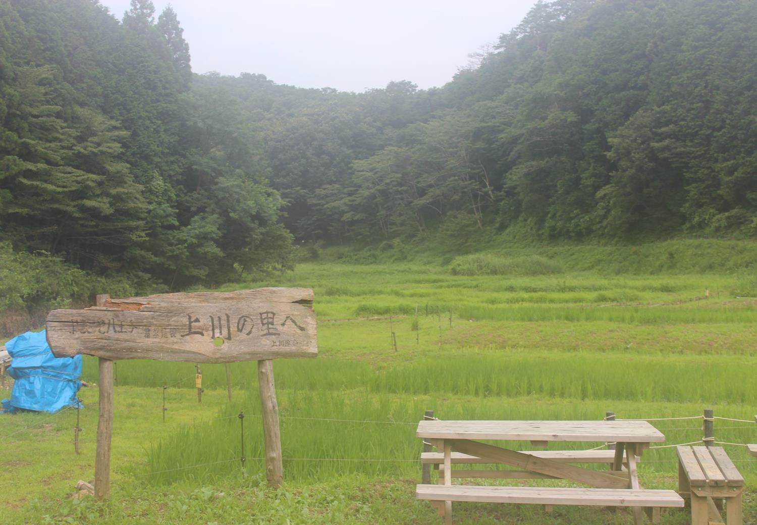 上川の里特別緑地保全地区