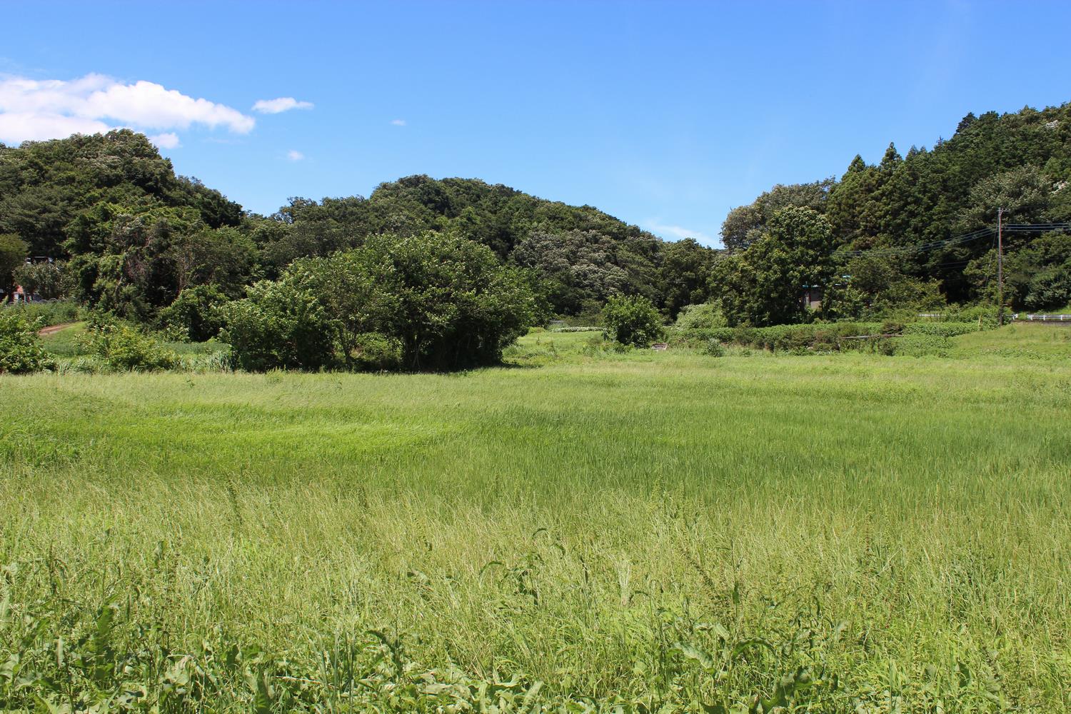 八王子堀之内里山保全地域