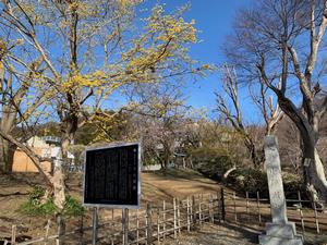 小仏関跡