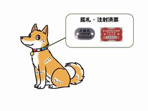 鑑札・注射済票装着