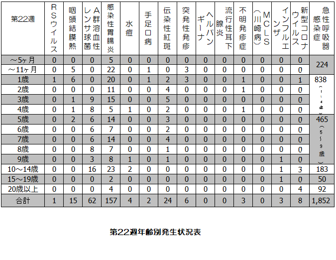 第22週年齢別発生状況表