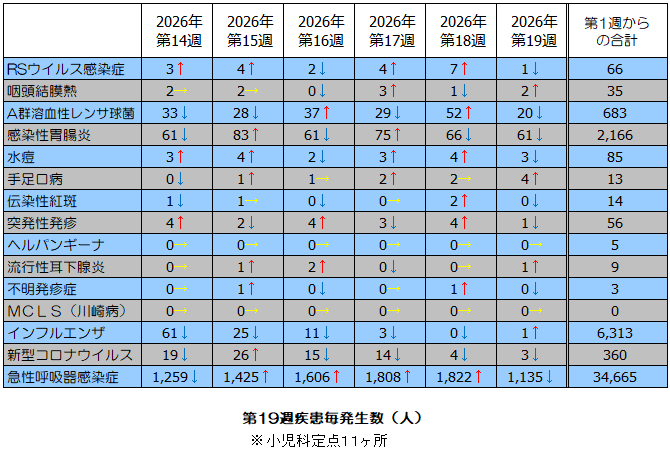 第19週疾患毎発生状況表