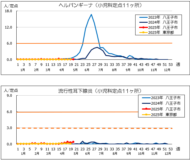 第20週ヘルパン、耳下腺