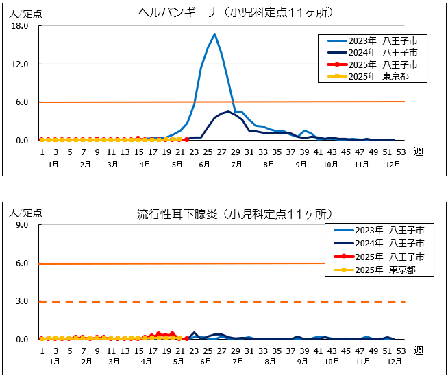 第22週ヘルパン、耳下腺