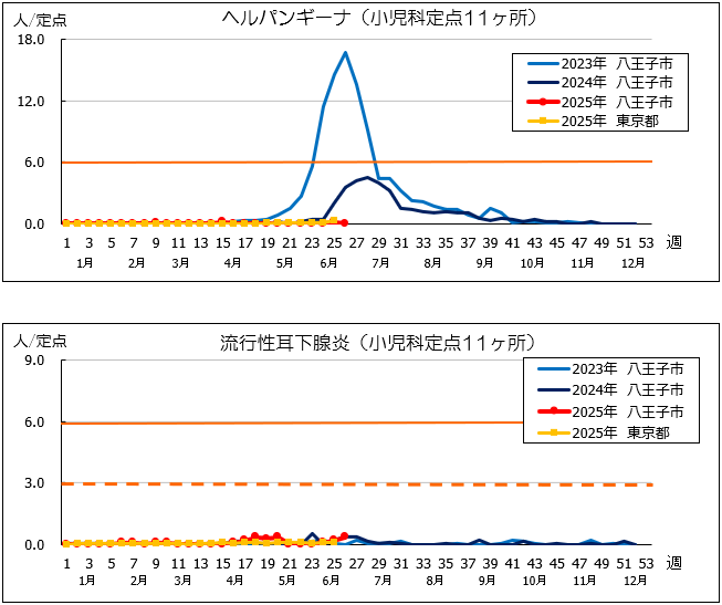 第26週ヘルパン、耳下腺