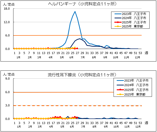 第27週ヘルパン、耳下腺